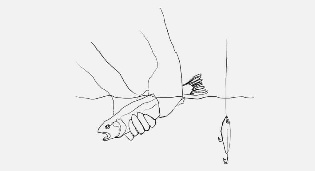 An illustration of two hands holding a small trout just beneath the waterline as a hooked bobber hangs to the right.