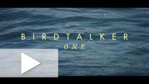 Birdtalker: One with calm water behind the words and a play button overlay.