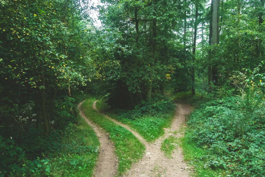 Your Guide to Navigating Life’s Changes with Spiritual Grounding 