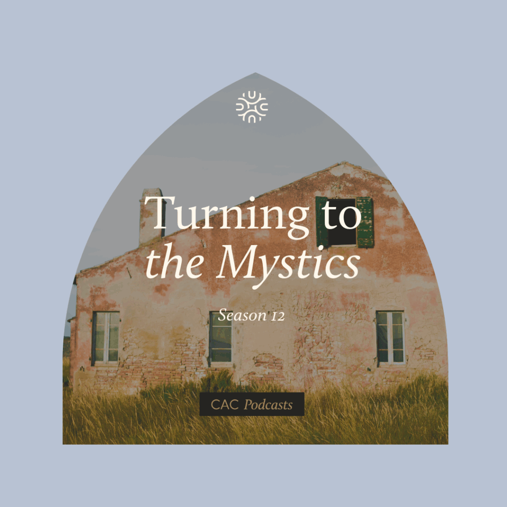 turning to the mystics cover art