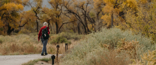 Individual walking amongst nature on a path surrounded by trees and brush