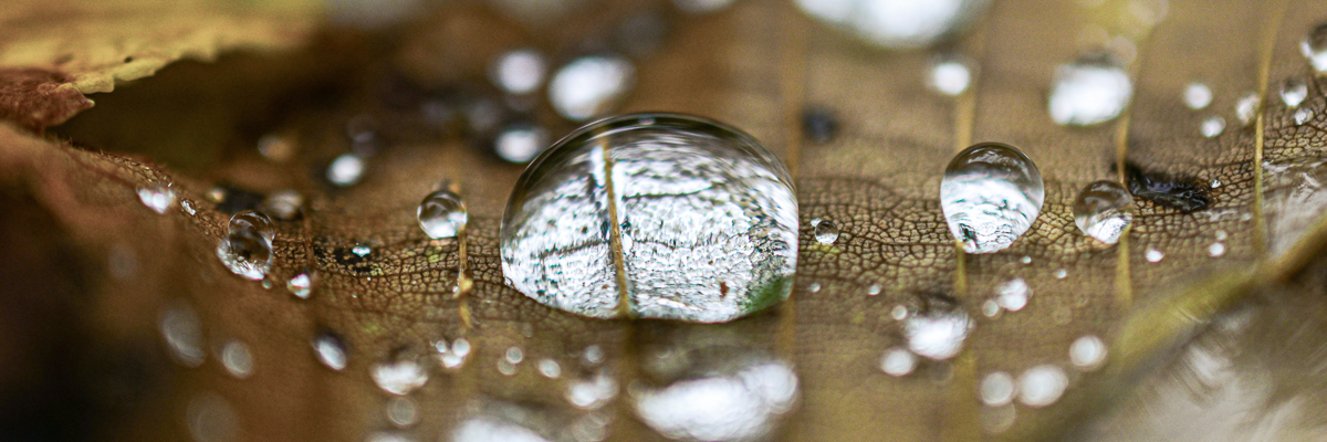 The Beatitudes: Week Two